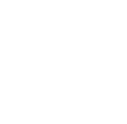 Portus Lubasz logo